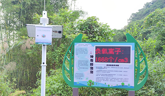 气象负氧离子监测系统助力海滨公园精细化生态管理